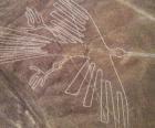 Вид с воздуха одной из фигур, птиц, часть линий Наска в пустыне Наска, Перу